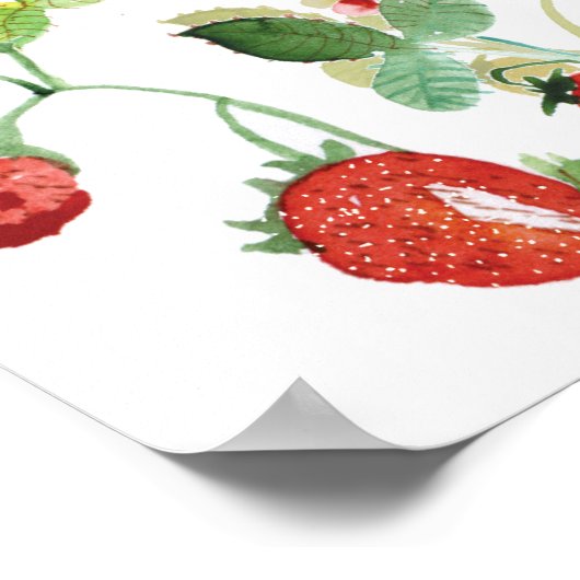 STRAWBERRYROOTS POSTER (Hoek)