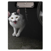 Stray Cat met Mustache Klembord (Voorkant)