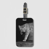 Stray Cat op Stairs Bagagelabel (Voorkant (verticaal))