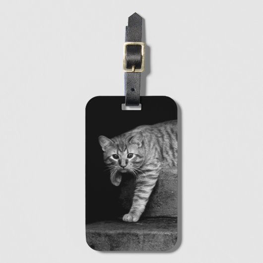 Stray Cat op Stairs Bagagelabel (Voorkant (verticaal))
