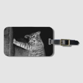 Stray Cat op Stairs Bagagelabel (Voorkant (horizontaal))
