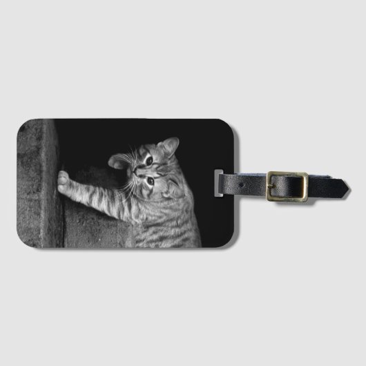 Stray Cat op Stairs Bagagelabel (Voorkant (horizontaal))