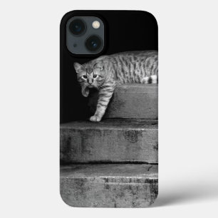 Stray Cat op Stairs Case-Mate iPhone Case