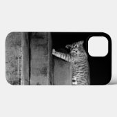 Stray Cat op Stairs Case-Mate iPhone Case (Achterkant (horizontaal))