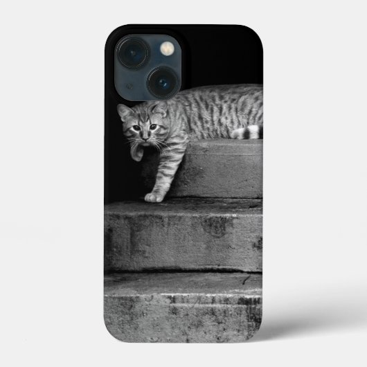 Stray Cat op Stairs Case-Mate iPhone Case (Achterkant)