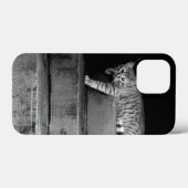 Stray Cat op Stairs Case-Mate iPhone Case (Achterkant (horizontaal))