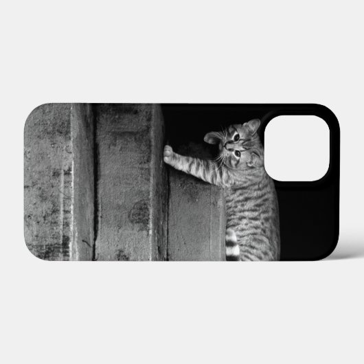 Stray Cat op Stairs Case-Mate iPhone Case (Achterkant (horizontaal))