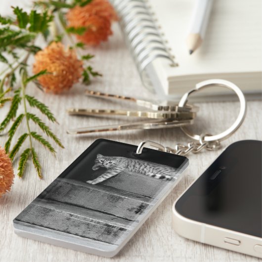 Stray Cat op Stairs Sleutelhanger (Voorkant Rechts)