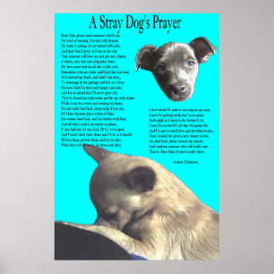 Stray Dog's gebed Poster