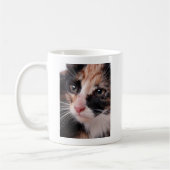 Stray Kitten Koffiemok (Links)