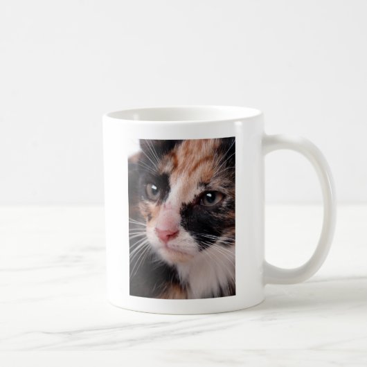 Stray Kitten Koffiemok (Rechts)