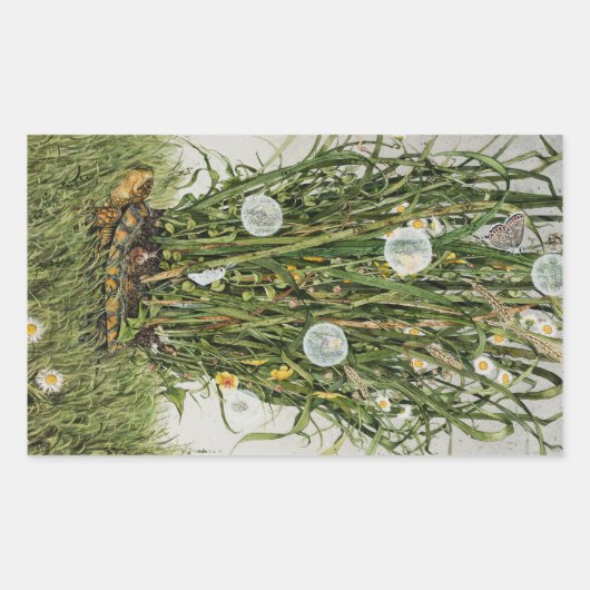 Stray Sod Rechthoekige Sticker (Voorkant)