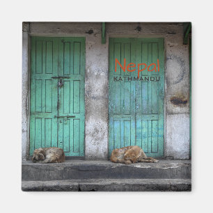 Strayhonden in Kathmandu, Nepal tekstmagneet Magneet