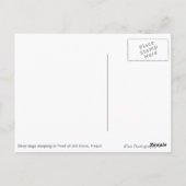 Strayhonden voor vuile groene deuren in Nepal Briefkaart (Achterkant)