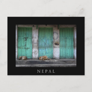 Strayhonden voor vuile groene deuren in Nepal Briefkaart