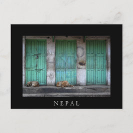 Strayhonden voor vuile groene deuren in Nepal Briefkaart