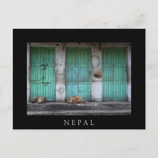 Strayhonden voor vuile groene deuren in Nepal Briefkaart (Voorkant)