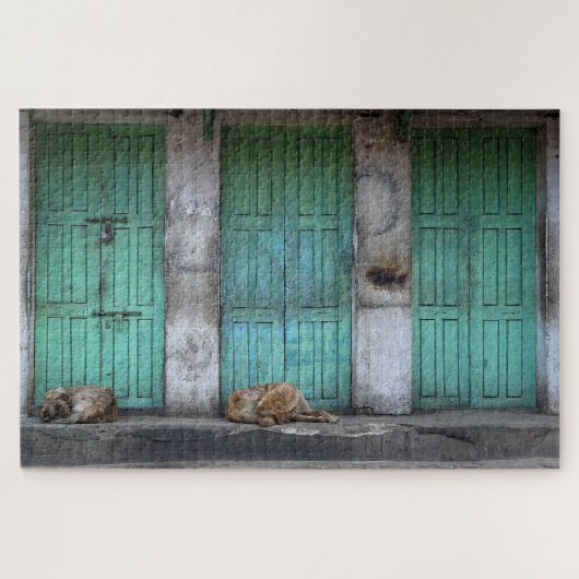 Strayhonden voor vuile groene deuren legpuzzel (Horizontaal)