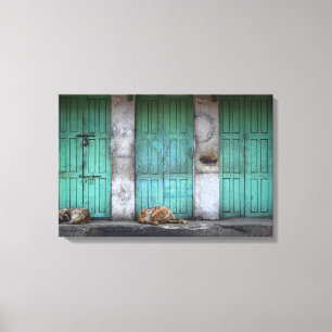 Strayhonden voor vuile groene doek canvas afdruk
