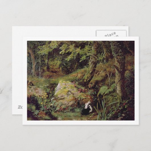 Straykonijnen Briefkaart (Voorkant / Achterkant)