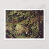 Straykonijnen Briefkaart (Voorkant)