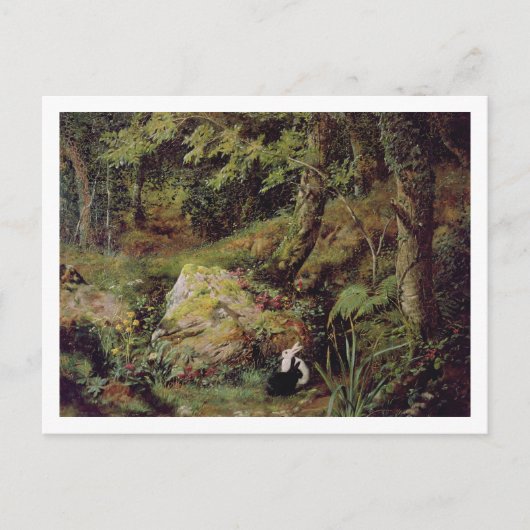 Straykonijnen Briefkaart (Voorkant)