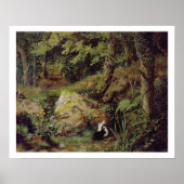 Straykonijnen Poster (Voorkant)