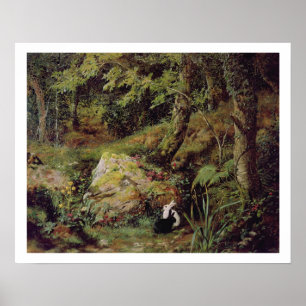 Straykonijnen Poster