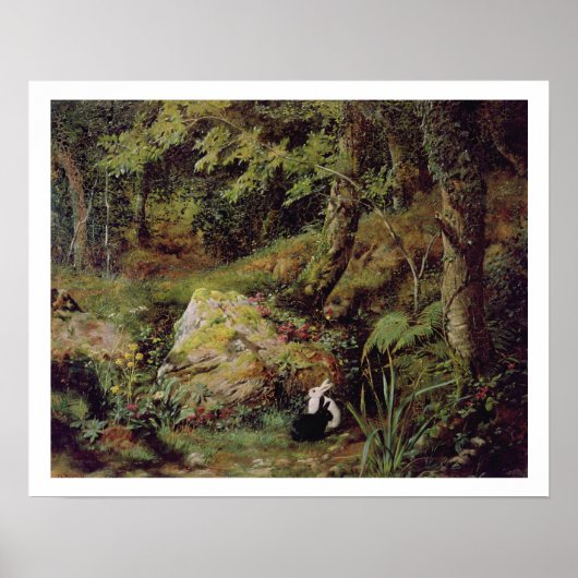 Straykonijnen Poster (Voorkant)