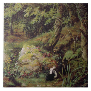 Straykonijnen Tegeltje