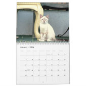 Strays Agenda Kalender (Jan 2026)