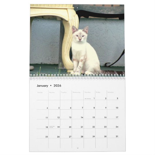 Strays Agenda Kalender (Jan 2026)