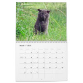 Strays Agenda Kalender (Mar 2026)