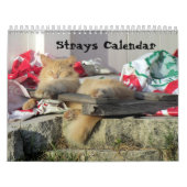 Strays Agenda Kalender (Hoes)