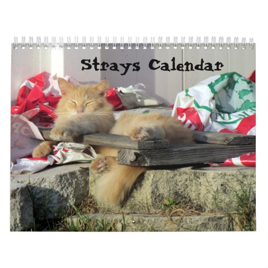 Strays Agenda Kalender (Hoes)