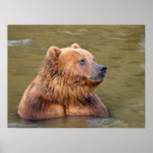 Strazzly in het water poster (Voorkant)