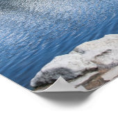 Strbske Pleso, Hoog-Tatra, Slowakije, Poster (Hoek)