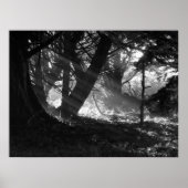 Streak van licht poster (Voorkant)