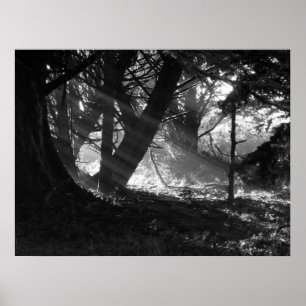 Streak van licht poster