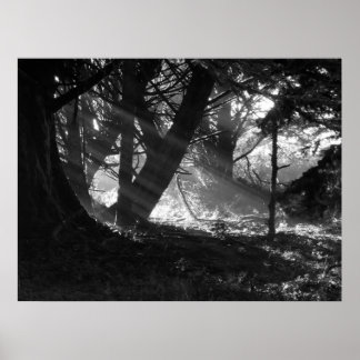 Streak van licht poster