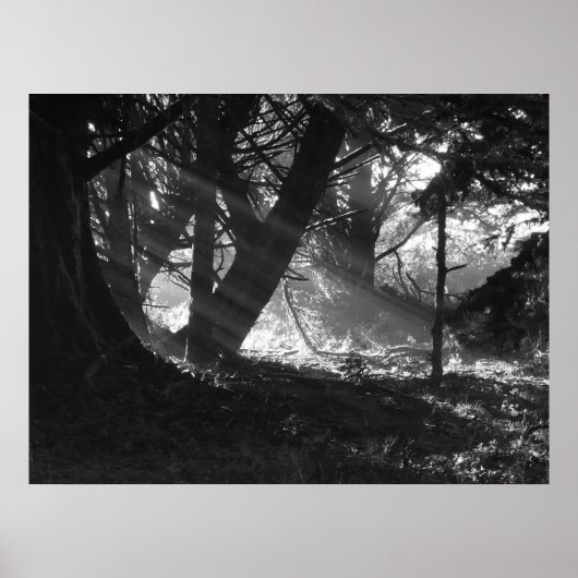 Streak van licht poster (Voorkant)