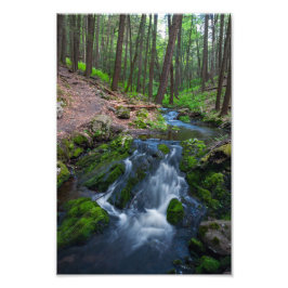 Stream Along the Trail  Foto Afdruk