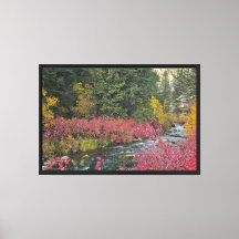 Stream Blooms opgerekt canvasprint