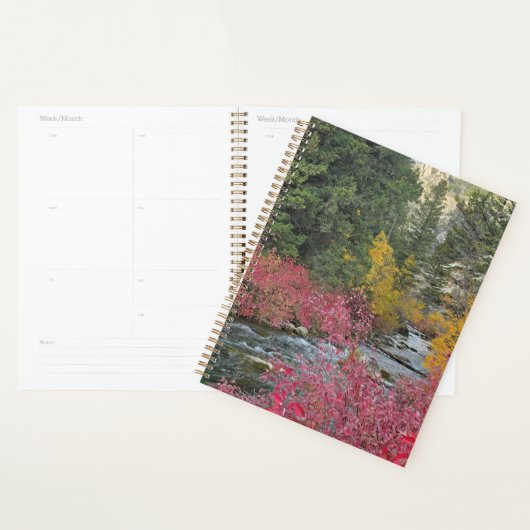 Stream Blooms Planner (Display)