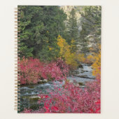 Stream Blooms Planner (Voorkant)