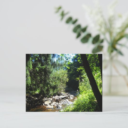 Stream Briefkaart (Staand voorkant)