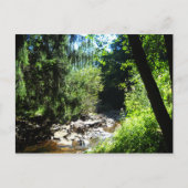 Stream Briefkaart (Voorkant)