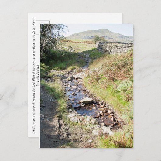 Stream Coniston Cumbrai England Card Briefkaart (Voorkant / Achterkant)
