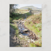 Stream Coniston Cumbrai England Card Briefkaart (Voorkant)