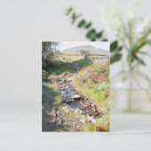 Stream Coniston Cumbrai England Card Briefkaart (Staand voorkant)